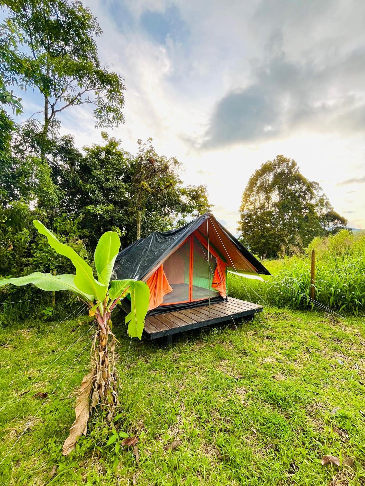 Ecoxplora-Zona De Camping Хардін Екстер'єр фото